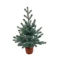 Ялинка Traditional лита в горщику 50 см блакитна