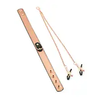 Нашийник із затискачами для сосків Liebe Seele Rose Gold Memory Collar with Nipple Clamps