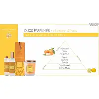 Наповнювач для аромадифузора Мандарин і юдзу Collines de Provence, 200 мл