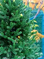 Штучна лита ялинка Traditional зелена 220 см з натуральним дерев'яним стовбуром