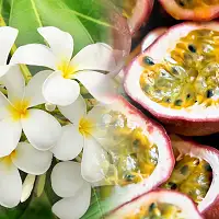 Аромадифузор для дому Monoi & Passion Fruit (Моной і маракуйя) Collines de Provence, 100 мл