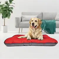 Лежак Pet Fashion «Askold» для собак, 102x76x14 см, теракотовий