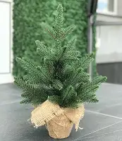 Ялинка Classic лита в мішковині 50 см зелена