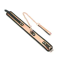 Нашийник з повідцем Liebe Seele Rose Gold Memory Collar with Leash