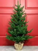 Ялинка Classic лита пишна  в мішковині 90 см зелена