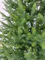 Штучна ялинка HVOYA Forest лита 220 см зелена з градієнтом молодої хвої