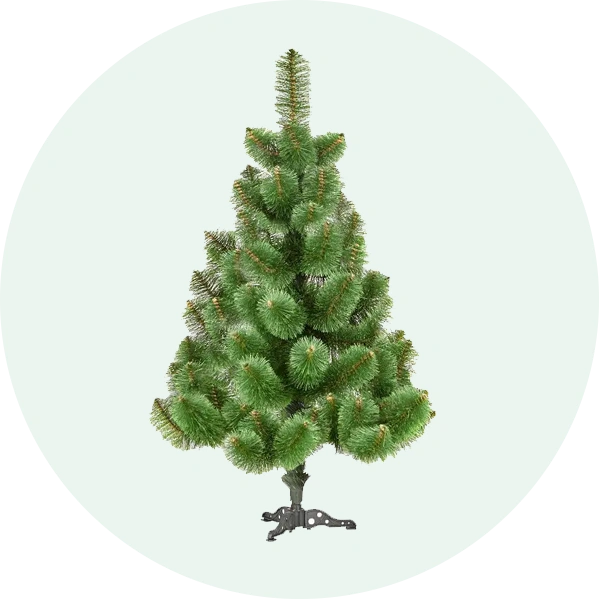 Сосна розпушена