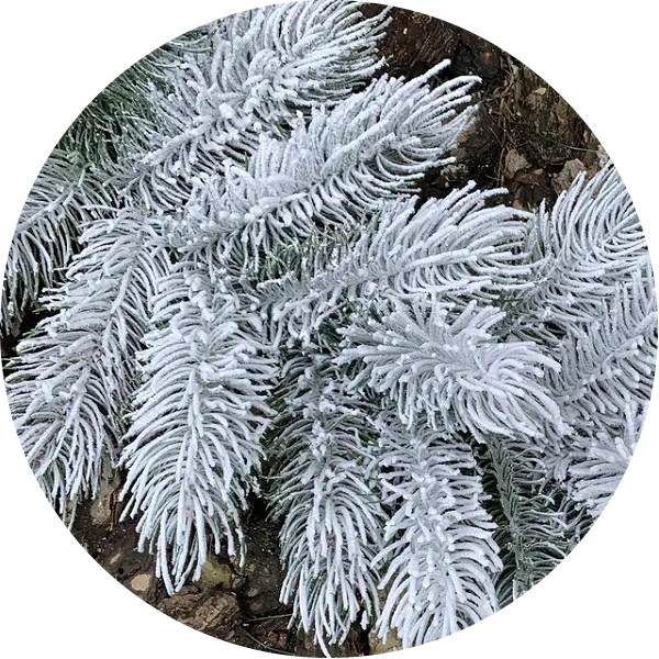 Гірлянди литі Сосна