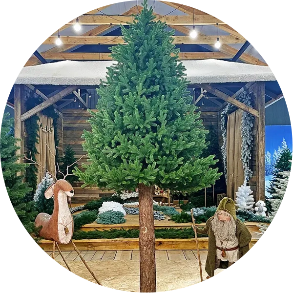 Ялинки литі Traditional з натуральним дерев'яним стволом