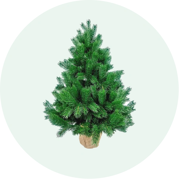 Ялинка настільна Сосна