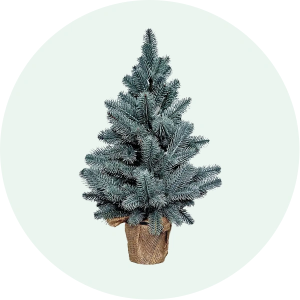 Ялинки Premium в мішку