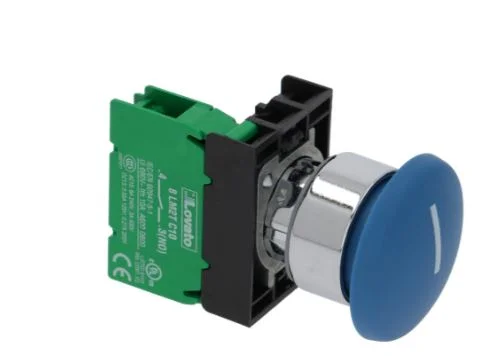 CARPIGIANI DONDURMA MAKİNESİ BUTON MAVİ 6A 240V