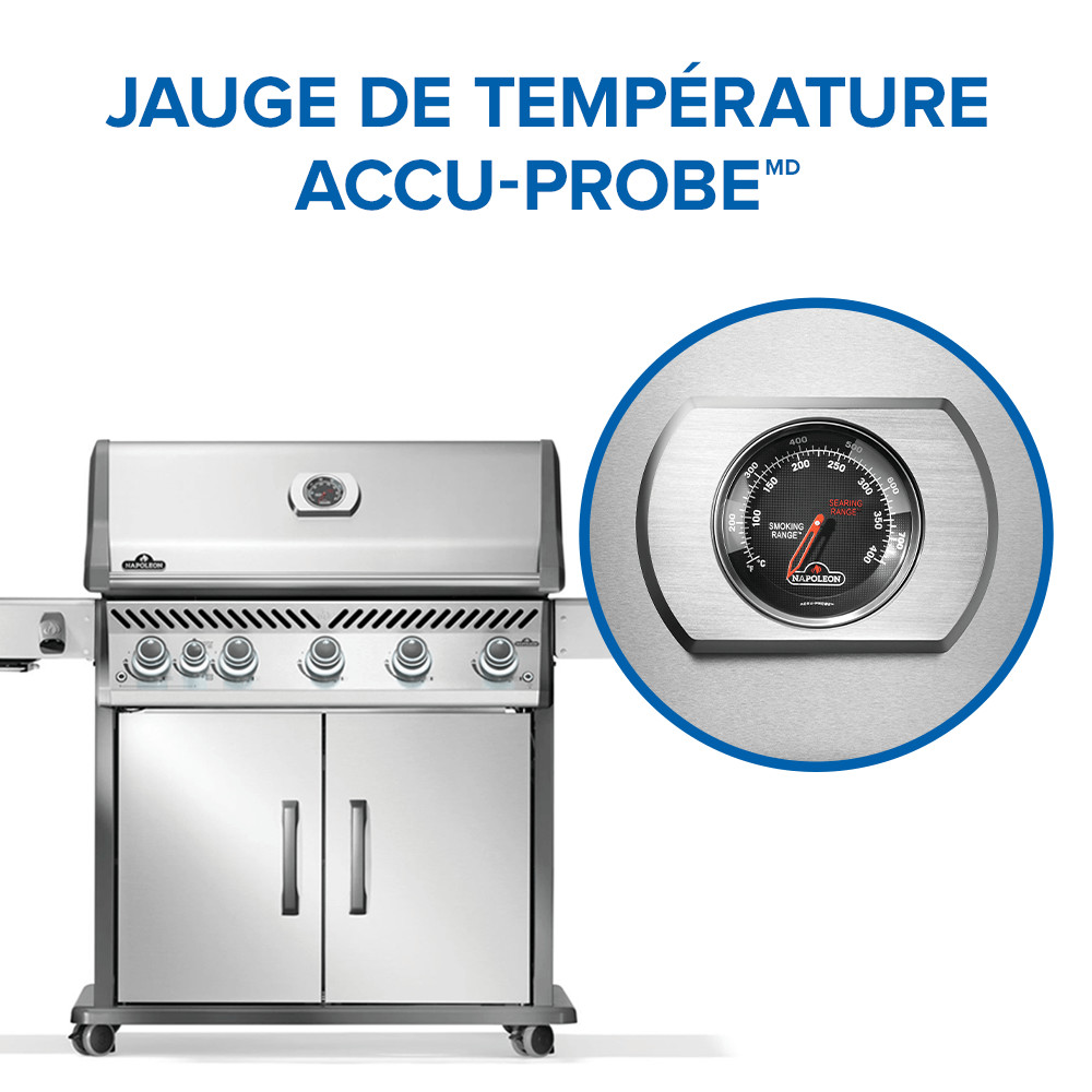 Rogue® PRO 625 Natural Gas Grill with Infrared Side Burner, Stainless Steel - Image 15