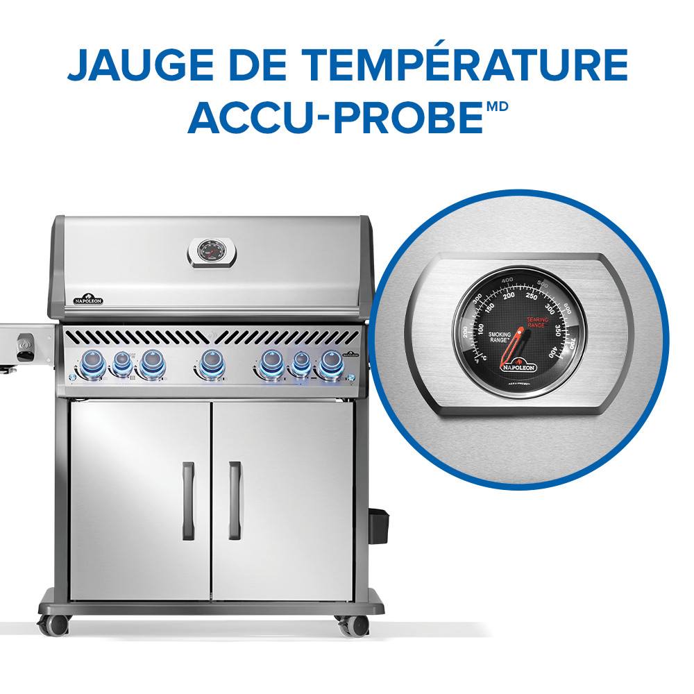 Rogue® PRO-S 625 Natural Gas Grill with Infrared Side and Rear Burners, Stainless Steel - Image 11