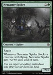 Netcaster Spider