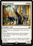 Regal Caracal