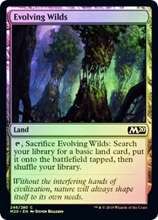 Evolving Wilds