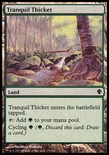 Tranquil Thicket