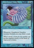 Chambered Nautilus