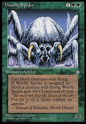 woolly spider