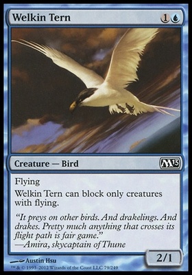 Welkin Tern