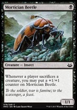 Mortician Beetle