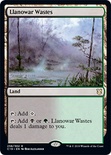 Llanowar Wastes