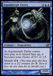 Aquamorph Entity