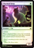 Charmed Stray