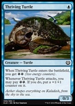 Thriving Turtle