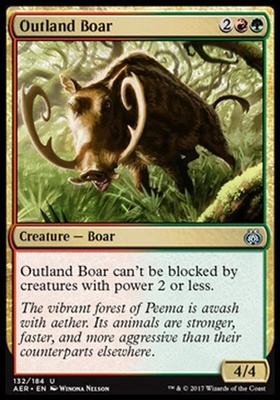 Outland Boar