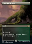 Llanowar Wastes