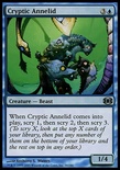 Cryptic Annelid