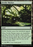 Fertile Thicket