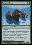 Aurochs Herd