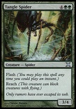 Tangle Spider