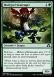 Moldgraf Scavenger