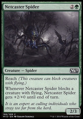 Netcaster Spider