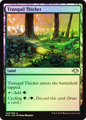 Tranquil Thicket