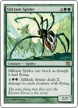 Silklash Spider