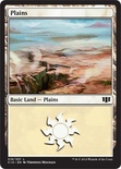 Plains (#319)