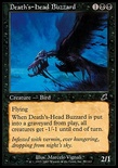 Death's-Head Buzzard