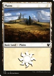 Plains