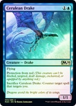 Cerulean Drake