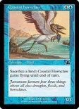 Coastal Hornclaw