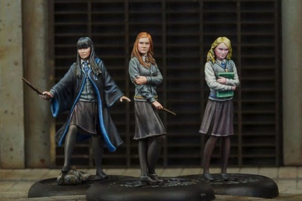 Harry Potter Miniature Adventure