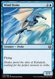 Wind Drake