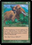 Wild Mammoth