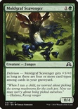 Moldgraf Scavenger