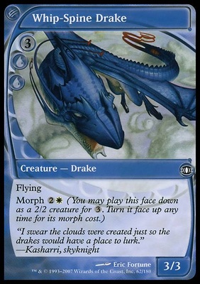 Whip-Spine Drake